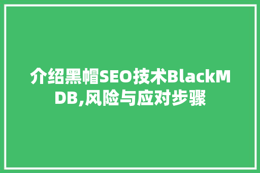 介绍黑帽SEO技术BlackMDB,风险与应对步骤