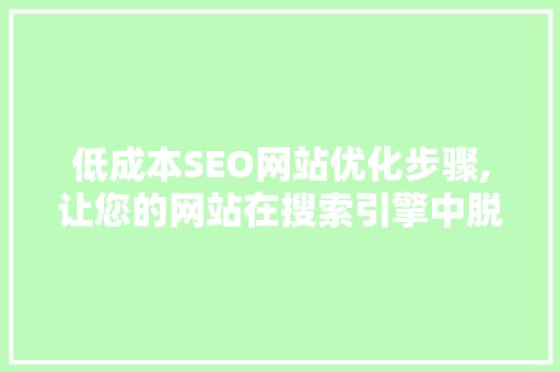 低成本SEO网站优化步骤,让您的网站在搜索引擎中脱颖而出