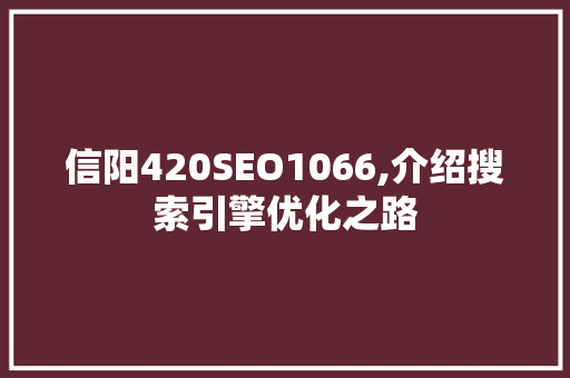 信阳420SEO1066,介绍搜索引擎优化之路