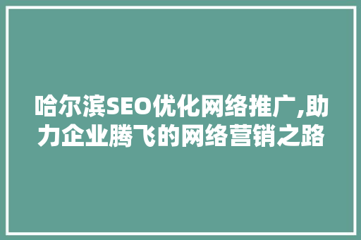 哈尔滨SEO优化网络推广,助力企业腾飞的网络营销之路