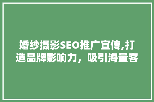 婚纱摄影SEO推广宣传,打造品牌影响力，吸引海量客户