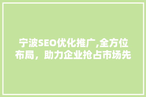 宁波SEO优化推广,全方位布局，助力企业抢占市场先机