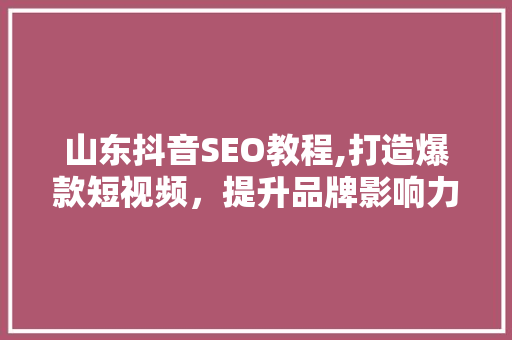山东抖音SEO教程,打造爆款短视频，提升品牌影响力