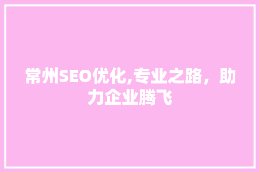 常州SEO优化,专业之路，助力企业腾飞