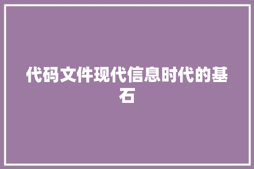 代码文件现代信息时代的基石