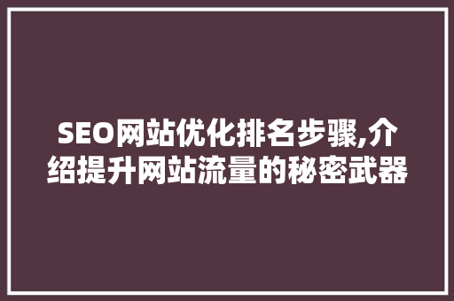SEO网站优化排名步骤,介绍提升网站流量的秘密武器