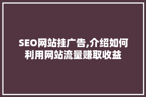 SEO网站挂广告,介绍如何利用网站流量赚取收益
