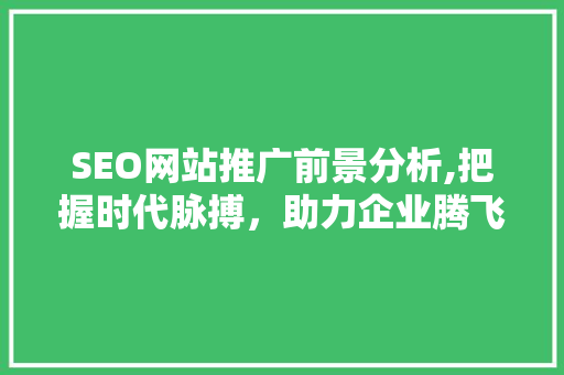 SEO网站推广前景分析,把握时代脉搏，助力企业腾飞
