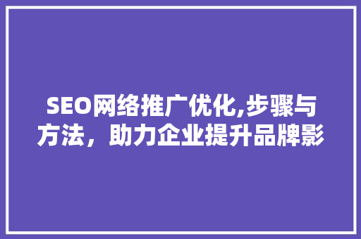 SEO网络推广优化,步骤与方法，助力企业提升品牌影响力