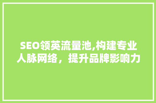SEO领英流量池,构建专业人脉网络，提升品牌影响力的方法