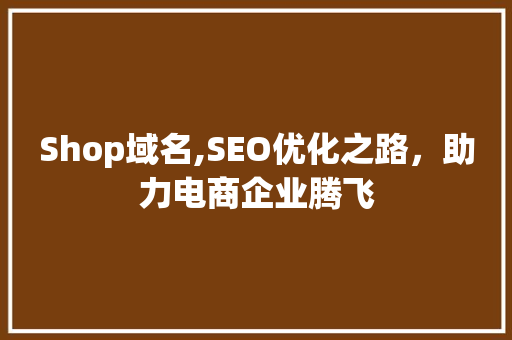 Shop域名,SEO优化之路，助力电商企业腾飞