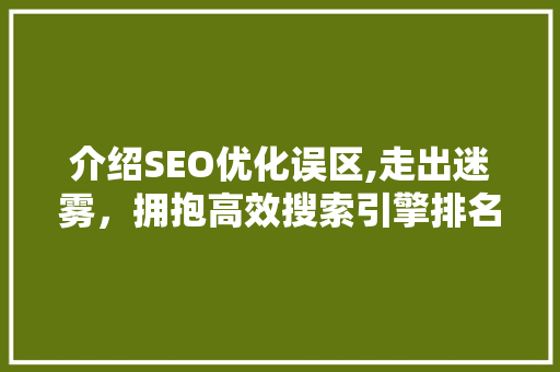 介绍SEO优化误区,走出迷雾，拥抱高效搜索引擎排名