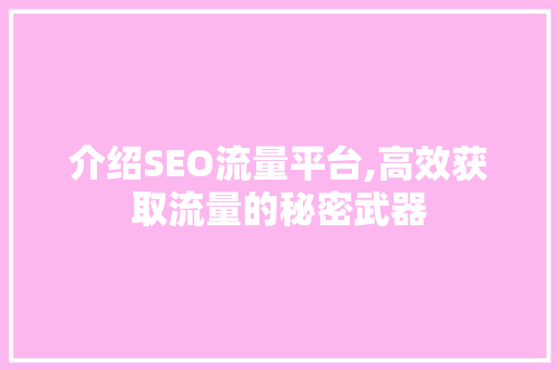 介绍SEO流量平台,高效获取流量的秘密武器