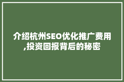 介绍杭州SEO优化推广费用,投资回报背后的秘密