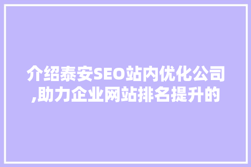 介绍泰安SEO站内优化公司,助力企业网站排名提升的秘密武器