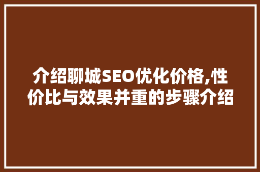 介绍聊城SEO优化价格,性价比与效果并重的步骤介绍