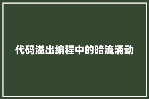 代码溢出编程中的暗流涌动