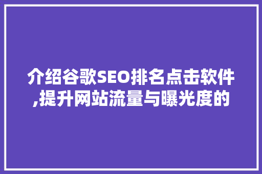介绍谷歌SEO排名点击软件,提升网站流量与曝光度的秘密武器