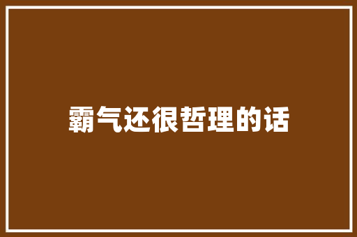 介绍长春SEO搜索栏玩法,关键词布局与优化步骤