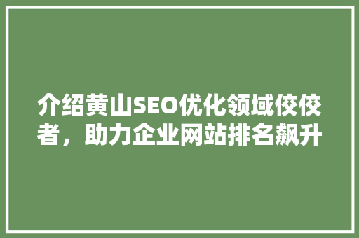 介绍黄山SEO优化领域佼佼者，助力企业网站排名飙升