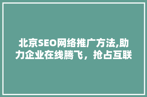 北京SEO网络推广方法,助力企业在线腾飞，抢占互联网市场制高点