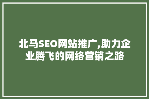 北马SEO网站推广,助力企业腾飞的网络营销之路