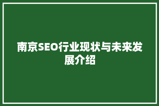 南京SEO行业现状与未来发展介绍