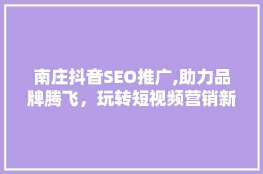 南庄抖音SEO推广,助力品牌腾飞，玩转短视频营销新格局