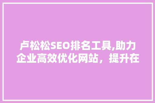 卢松松SEO排名工具,助力企业高效优化网站，提升在线竞争力