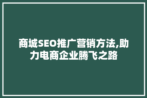商城SEO推广营销方法,助力电商企业腾飞之路