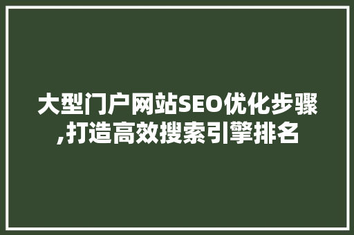 大型门户网站SEO优化步骤,打造高效搜索引擎排名