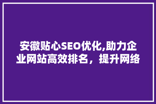 安徽贴心SEO优化,助力企业网站高效排名，提升网络营销竞争力