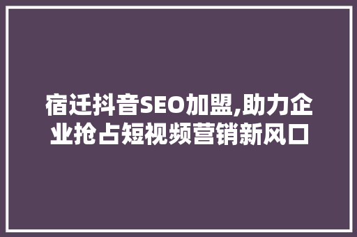 宿迁抖音SEO加盟,助力企业抢占短视频营销新风口