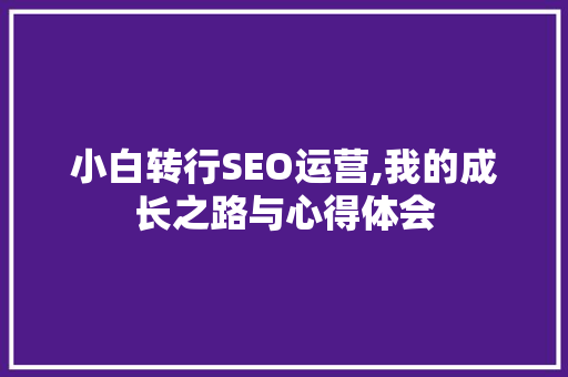 小白转行SEO运营,我的成长之路与心得体会