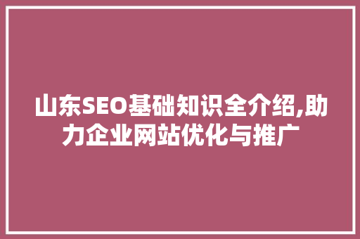 山东SEO基础知识全介绍,助力企业网站优化与推广