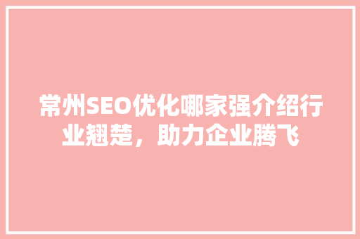 常州SEO优化哪家强介绍行业翘楚，助力企业腾飞