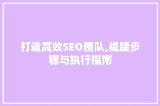 打造高效SEO团队,组建步骤与执行指南