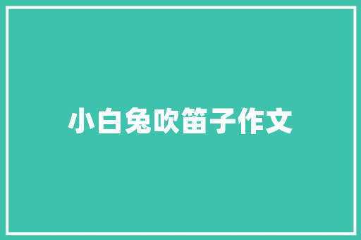 会计课程在现代财务管理中的核心地位与作用