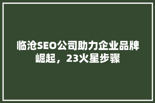临沧SEO公司助力企业品牌崛起，23火星步骤