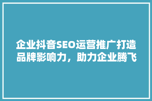 企业抖音SEO运营推广打造品牌影响力，助力企业腾飞  第1张