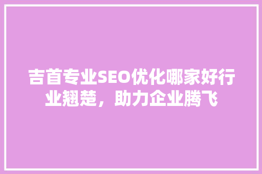 吉首专业SEO优化哪家好行业翘楚，助力企业腾飞