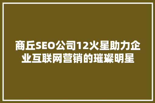 商丘SEO公司12火星助力企业互联网营销的璀璨明星