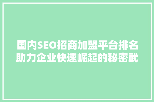 国内SEO招商加盟平台排名助力企业快速崛起的秘密武器