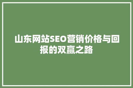 山东网站SEO营销价格与回报的双赢之路