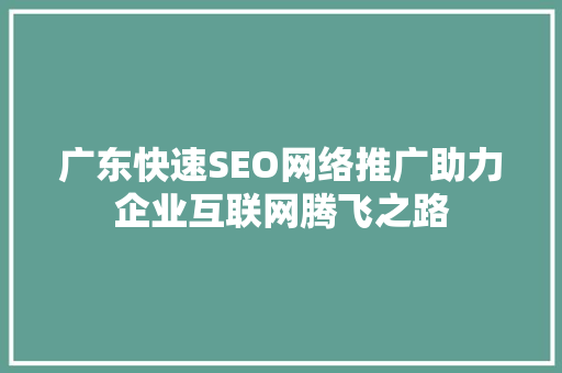 广东快速SEO网络推广助力企业互联网腾飞之路