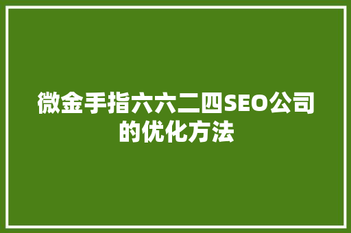 微金手指六六二四SEO公司的优化方法