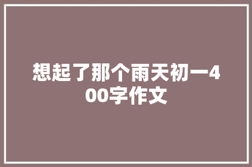保险代码守护未来的数字守护者
