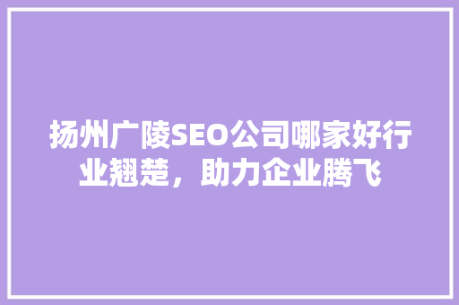 扬州广陵SEO公司哪家好行业翘楚，助力企业腾飞