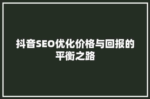抖音SEO优化价格与回报的平衡之路