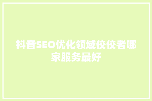抖音SEO优化领域佼佼者哪家服务最好